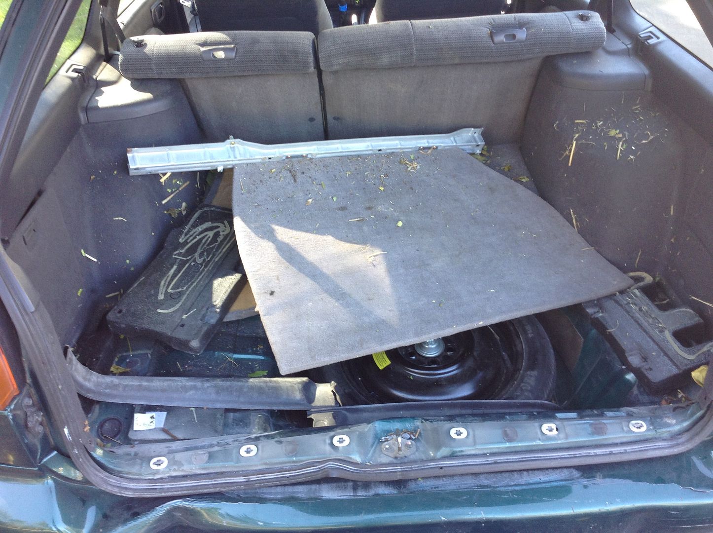 [Image: IMG_0230-1-1.jpg]