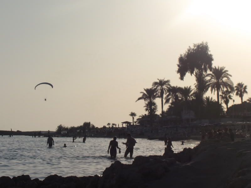 IMG_0174.jpg