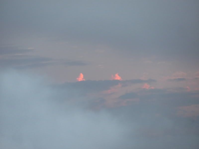 IMG_0375.jpg