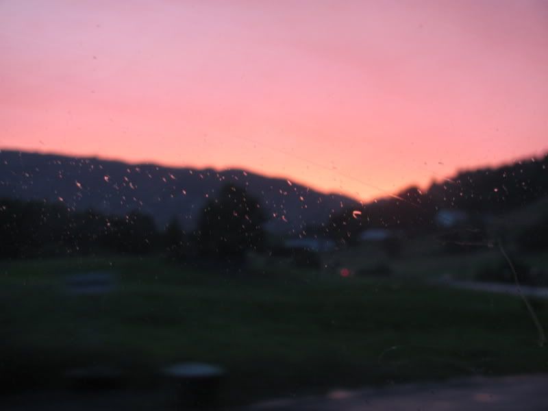 nvIMG_00031.jpg