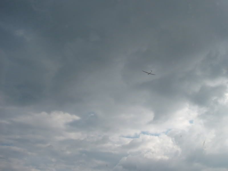 IMG_0081.jpg