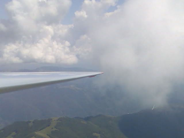 IMG_0006.jpg