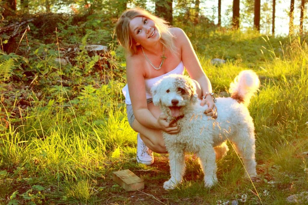  photo IMG_3912_zps5deceacd.jpg