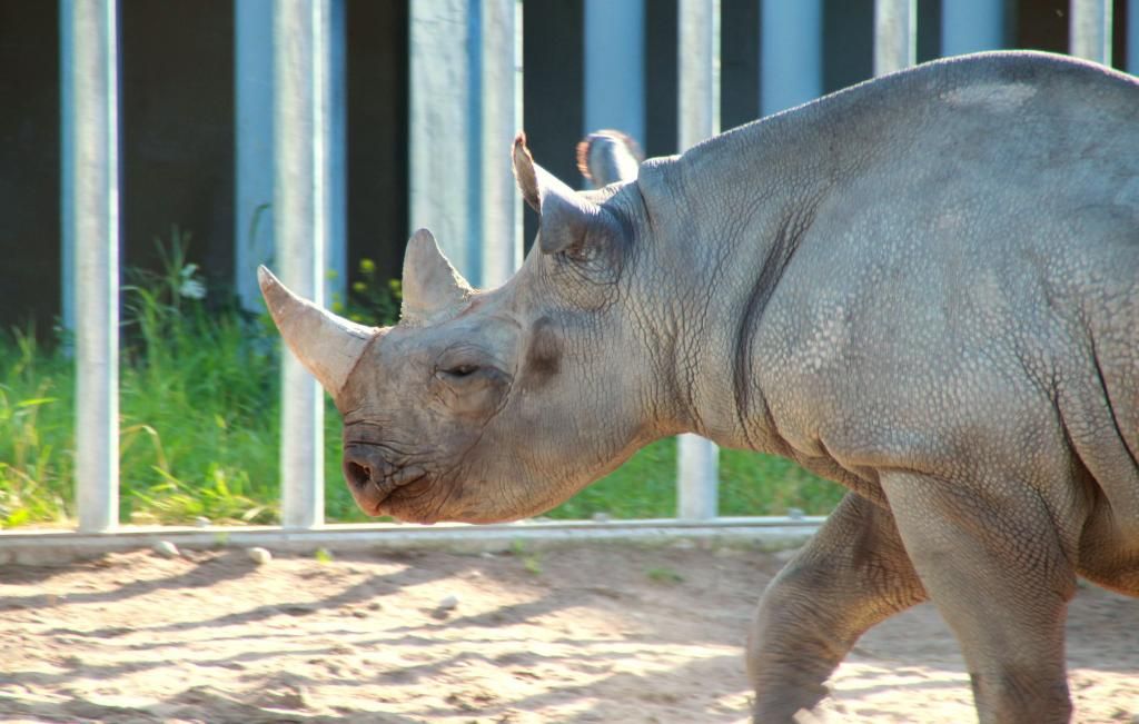  photo IMG_4379_zps86caa5e4.jpg