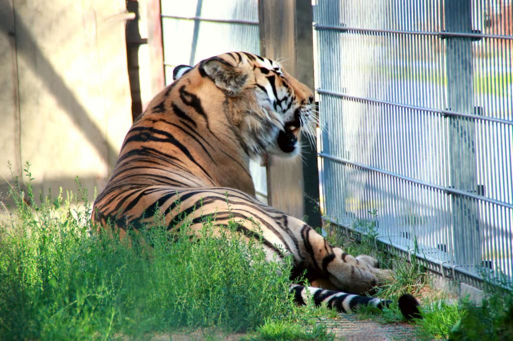  photo IMG_4380_zps9f9c72c4.jpg