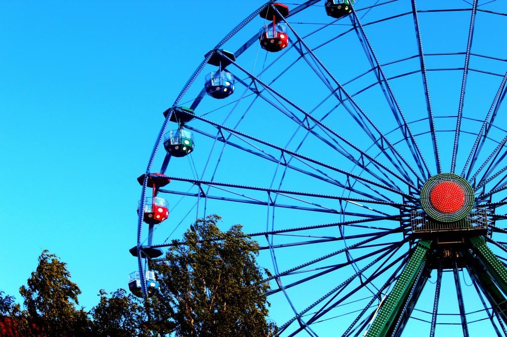  photo IMG_6528_zps575c78dd.jpg