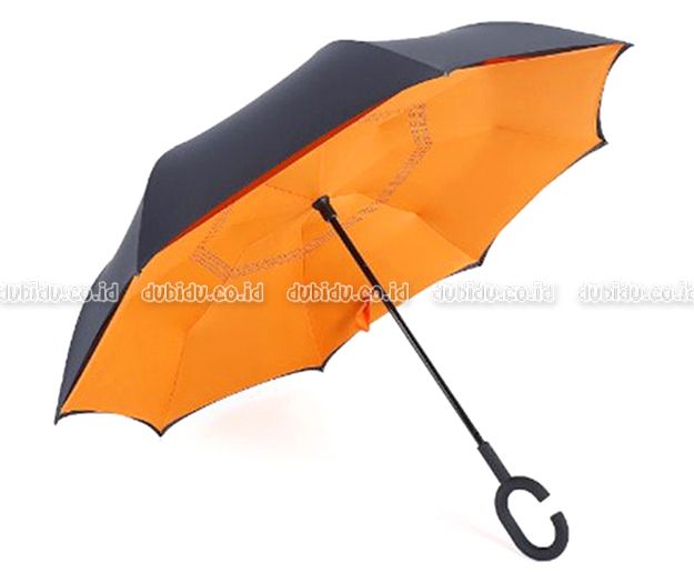  photo Orange 1_zpskuccm6yg.jpg