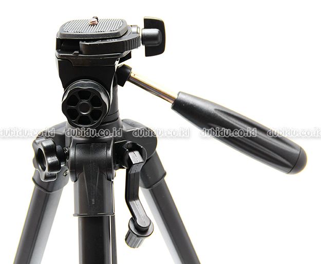  photo IMG_2978_zpsyeuloivy.jpg