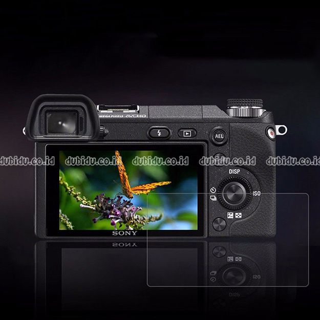  photo Front 12_zpsxkjxmhx5.jpg