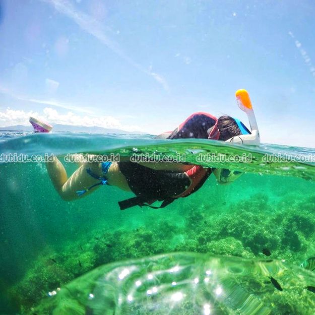  photo 61pCKCEq0DL._SL1000__zpsjs1r5r7c.jpg