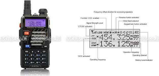  photo PDK1_zpst8pfeo94.jpg