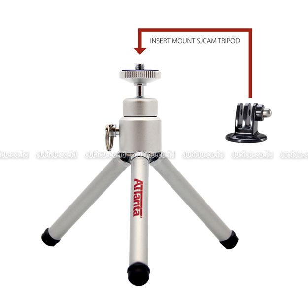  photo insert_zpsca8ef2ba.jpg