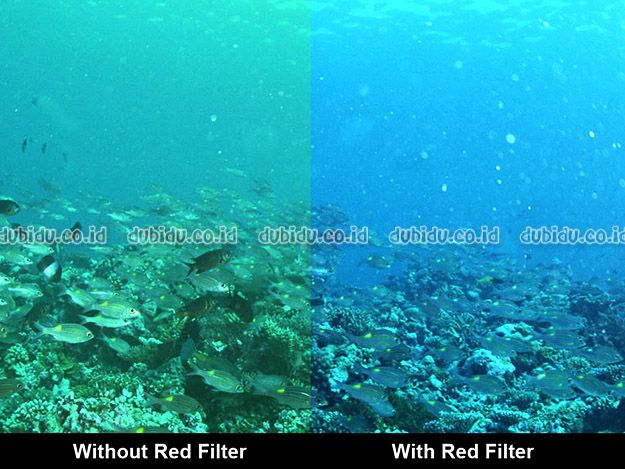  photo ViewImage_zpsaauipxqs.jpg