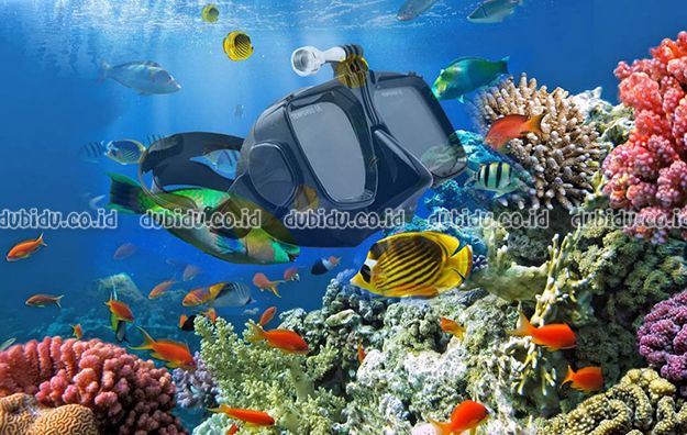  photo 71OOSikzjQL._SL1050__zpslrzshrgz.jpg