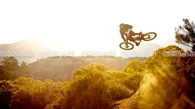  photo 1573938_zps29ac22cd.jpg