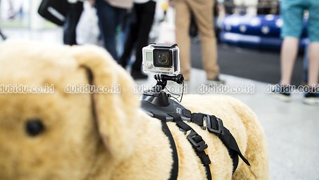  photo 1411656136000-GoPro-fetch_zps7e4c4e3c.jpg