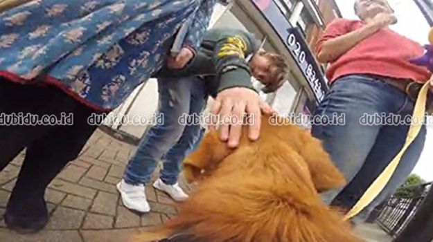  photo 517eXbpLToL_zps62b0c49b.jpg