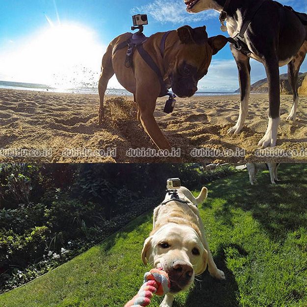  photo _571_zps84ae6d3a.jpg