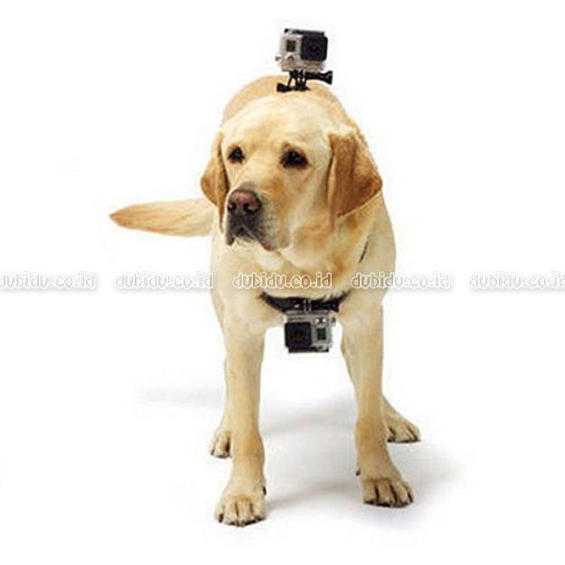  photo _572_zps88aaa4f4.jpg