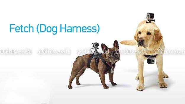  photo maxresdefault_zps9bddd762.jpg