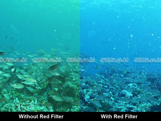  photo ViewImage_zps02c89aec.jpg