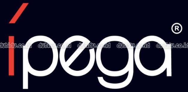 photo iPega-logo_zpsc6d53223.jpg
