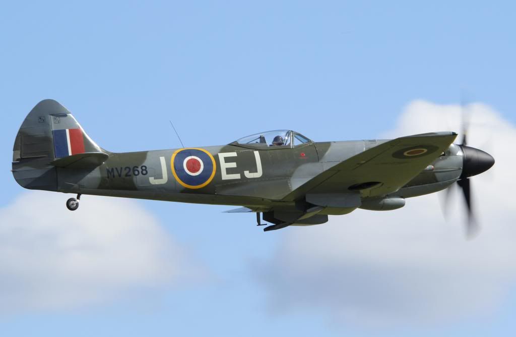 http://i1241.photobucket.com/albums/gg512/linda2075/spitfire38_zps99833621.jpg