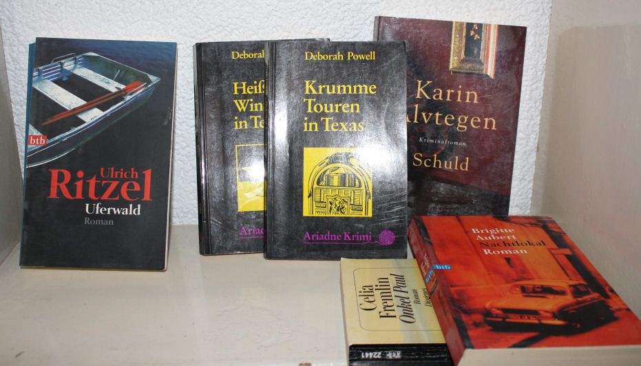Bücher von Ulrich Ritzel, Deborah Powell, Karin Klvtegen, Brigitte Aubert und Celia Fremlin