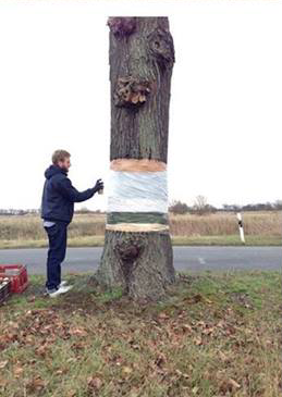 Illusion Painting by Daniel Siering and Mario Shu