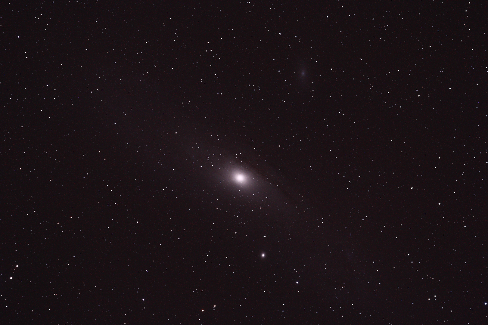 M31600sP.png