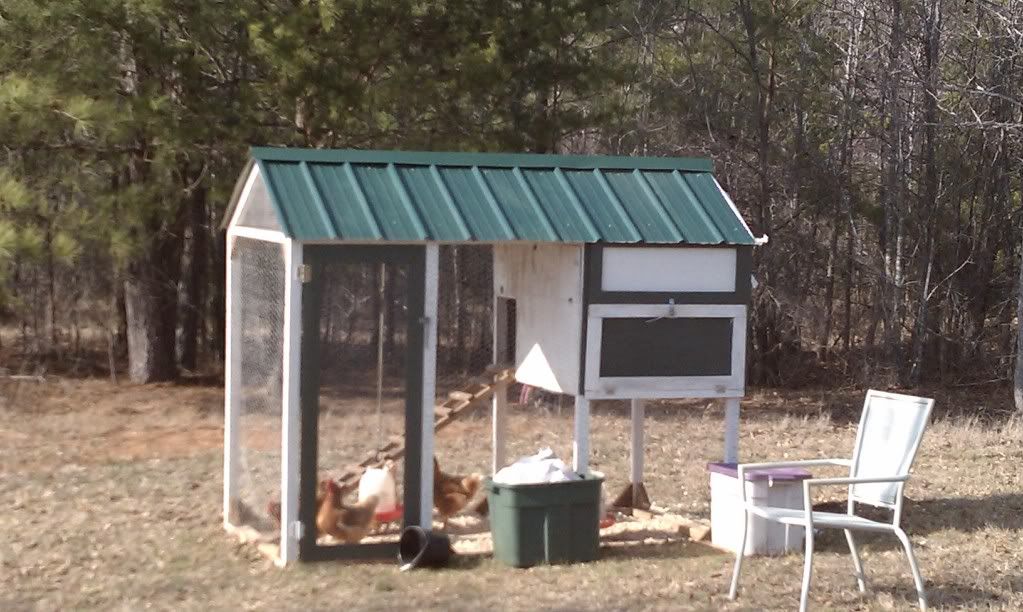 Show Me Your Small Open Coop (hot Climate) Designs Please, And Any And ...