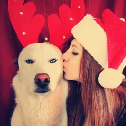 merry christmas photo: Christmas Sweet Dog DOGandGIRL.jpg