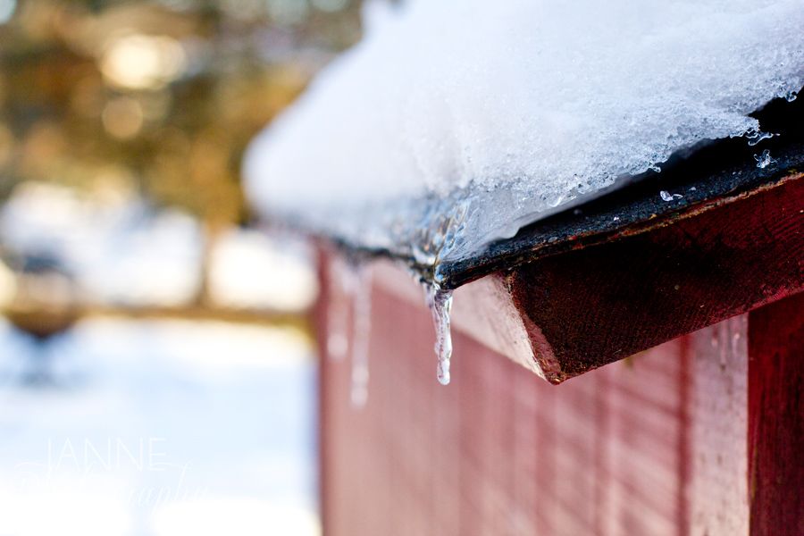 Cincinnati Winter Snow Photography