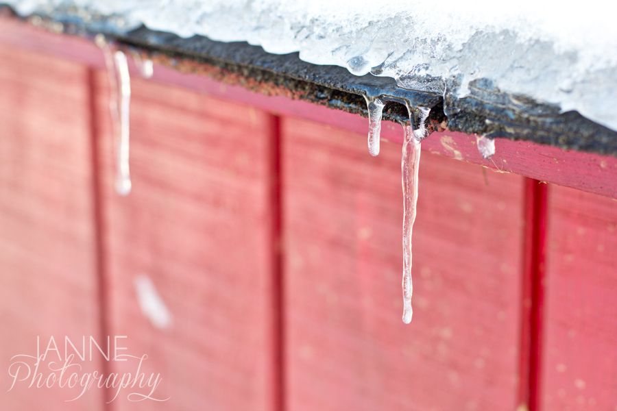 Cincinnati Winter Snow Photography