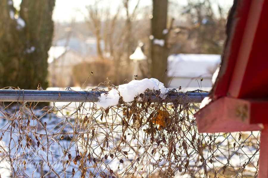 Cincinnati Winter Snow Photography