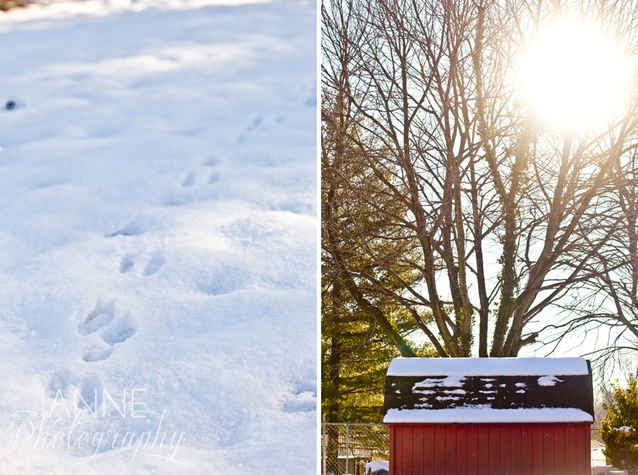 Cincinnati Winter Snow Photography