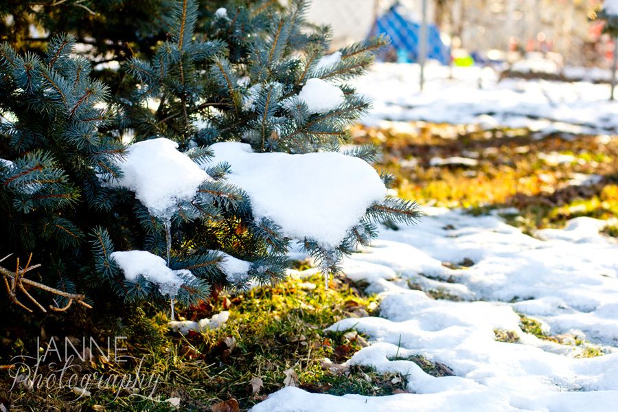 Cincinnati Winter Snow Photography