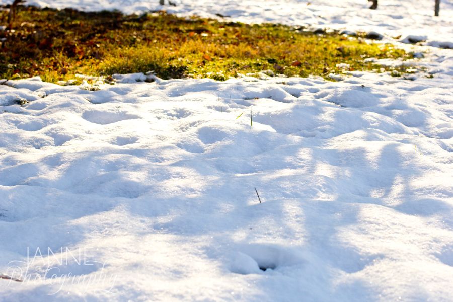 Cincinnati Winter Snow Photography