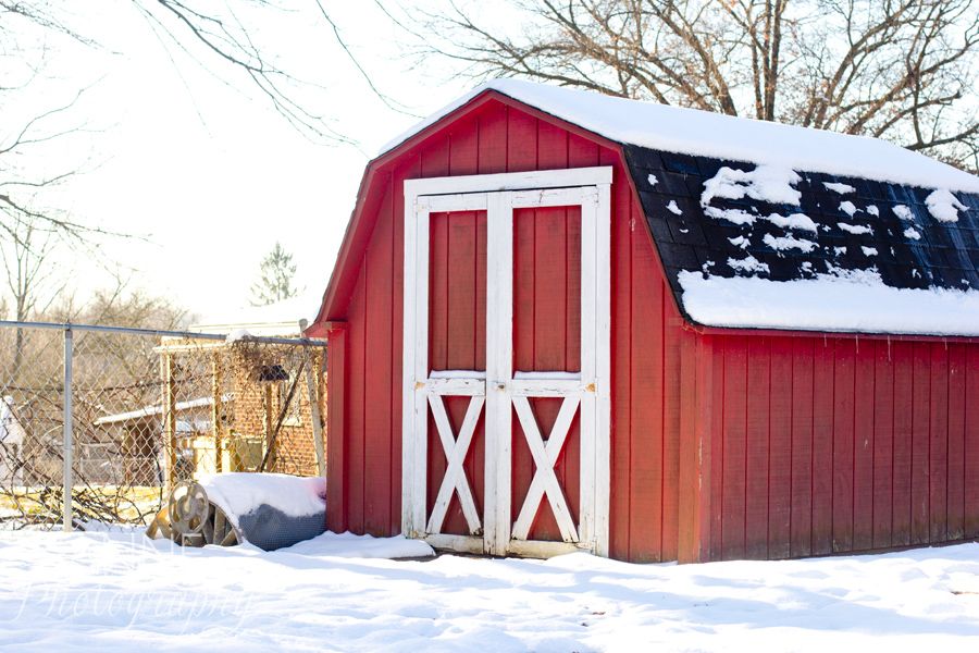 Cincinnati Winter Snow Photography