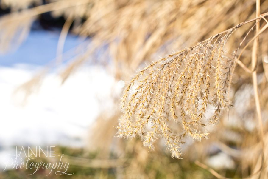 Cincinnati Winter Snow Photography