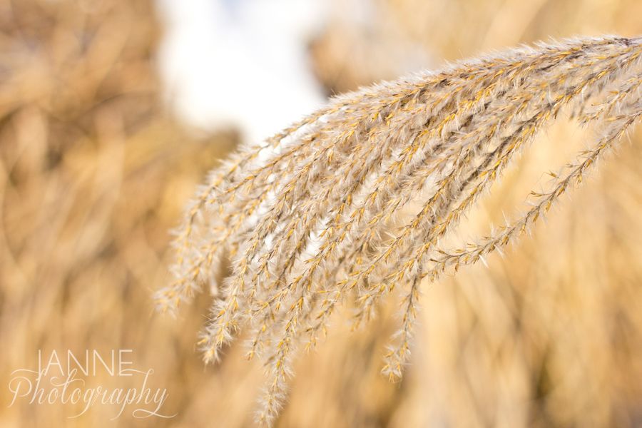 Cincinnati Winter Snow Photography