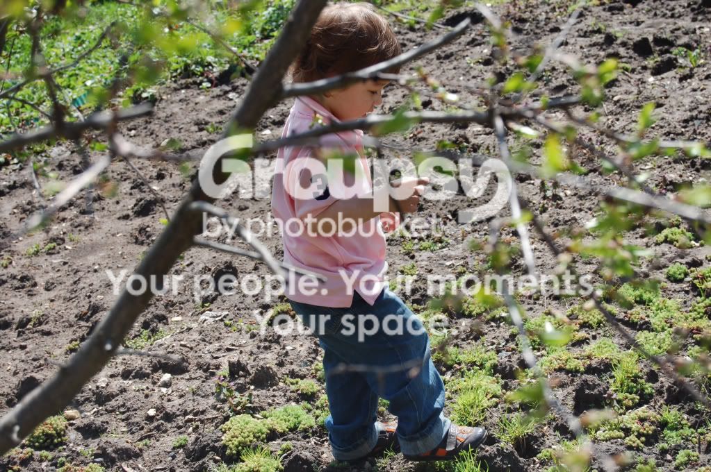 Photobucket Pictures, Images and Photos